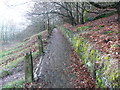 Pellon Lane Footpath 2, Halifax