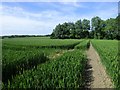 Farmland, Chalgrove