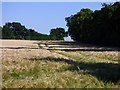 Farmland, St Mary Bourne