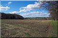 Fallow Field Near Colchester Golf Club