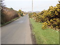 View North along Lower Foughill Road