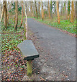 ST9700 : Bench by the Woodland Walk by Des Blenkinsopp