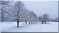 Snowy day, South Park, Macclesfield