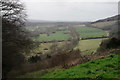 TQ1450 : View From Denbies Hillside by Peter Trimming