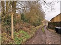 Paths for Broadbottom, Woolley Bridge and Melandra Castle