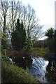 Wildlife pond at the hotel