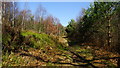 Path heading up to Camp Wood, Maer Hills