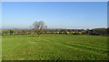 View NE on field path between Holloway Ln, Aston & Old Madeley Manor