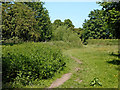 Footpath through meadows by Audlem, Cheshire