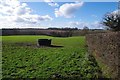 Pasture Near Coney Bayes Farm