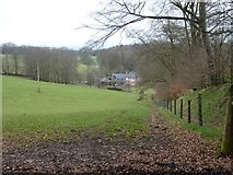 ST1536 : Path to Great Quantock Farm by David Smith