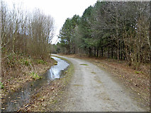 TQ8521 : Track in Beckley Woods by Robin Webster