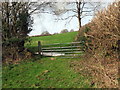 Llwybr ger Llwyn-dyrys / Path near Llwyn-dyrys