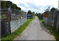 Track through the allotments at Saltburn-by-the-Sea