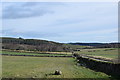 Looking east from Broadsea farm