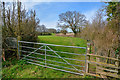 Taunton Deane : Grassy Field