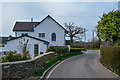 Goosenford : Country Lane