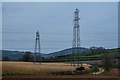 Taunton Deane : Countryside Scenery