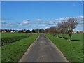 On Old Lane heading to Reedness