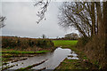 Taunton Deane : Grassy Field