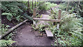 Stile and footbridge on path below Causeway Wood Road, Lumbutts 