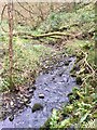 SS5690 : Woodland stream by Alan Hughes