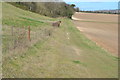 SU5917 : Footpath along field edge west of Droxford by David Martin