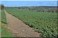 Footpath across field near Beckless Farm