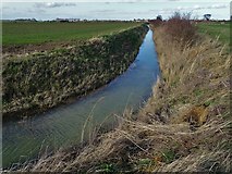SE8121 : Meeting of Drains south of Whitgift by Neil Theasby