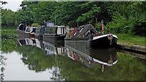 SJ7526 : Moored boats on the Shebdon Embankment in Staffordshire by Roger  D Kidd