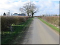 Tree-lined lane approaching White House Farm