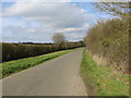 A hedge-lined lane between Middle Rasen and Osgodby