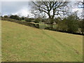 Field footpath approaching a wall stile and gateway