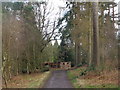 Timber building by track in Chaddesley Wood