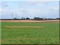 Power lines crosses fields near to Drayton Road