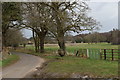 Pasture on the edge of Capel Green