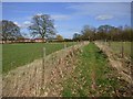 Footpath through pasture, Shalbourne