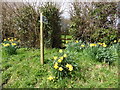 Footpath and stile, Seaborough