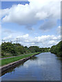 Canal east of Hanford, Stoke-on-Trent