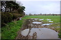 Waterlogged Field at Waterditch