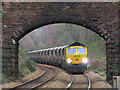 Coal train near Llanishen