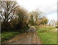 Flood on Picket Lane