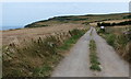 Track towards North Warren Cottage