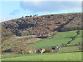 Hard Struggle Cottages & Cragg Farm below Lowther