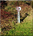 Ornate Upper Abercanaid name sign