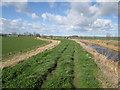 Footpath  on  top  of  flood  bank  Foston  Beck