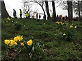 Spring colour at a wet & windy parkrun