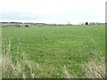 Farmland south-west of East Barden Dykes