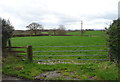 Field entrance and footpath near Church Farm, Preston Gubbals