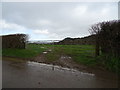 Muddy field entrance near Grange Farm